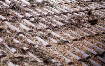 South Burlingham roof cleaning companies